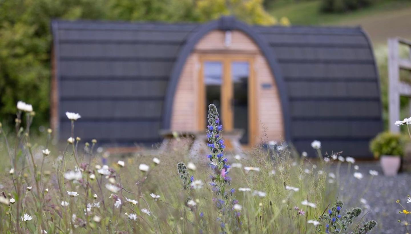 Апартаменты Isla Pod, Kilry Eco Pods Blairgowrie and Rattray Экстерьер фото